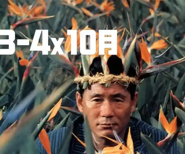 3-4X10月