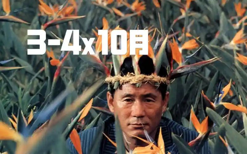 3-4X10月