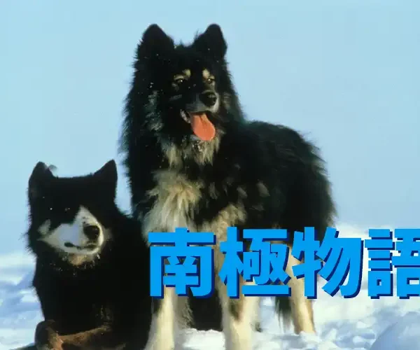 南極物語