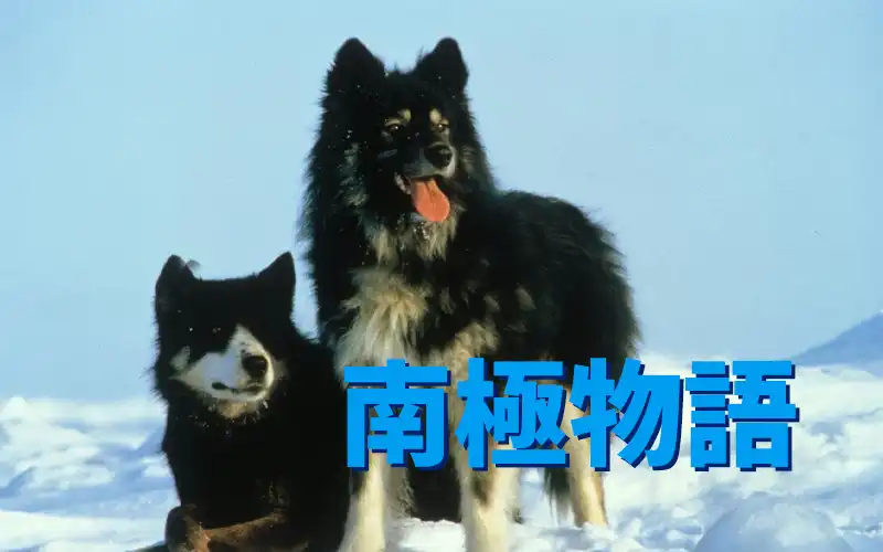 南極物語